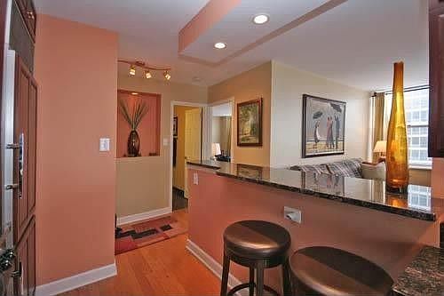 4th image of 336 W Wellington Ave APT 1604