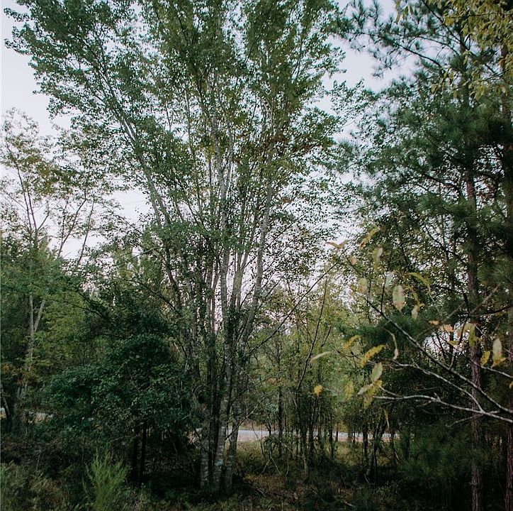 1st image of LOT 3 Nighthawk Loop