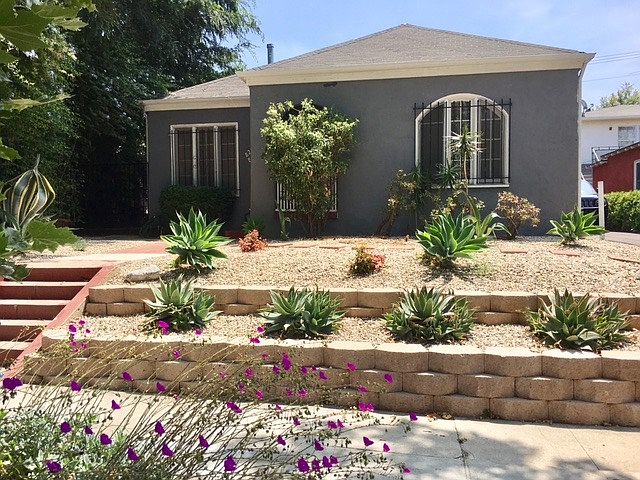 Duplex front yard