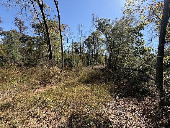 5th image of Mount Helen Rd