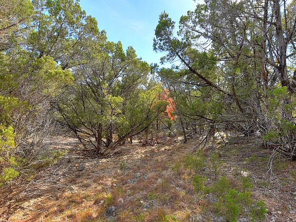 4th image of 23 Persimmon Dr