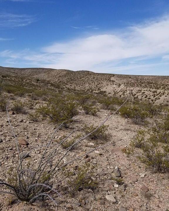 2nd image of 1 Camino Orilla