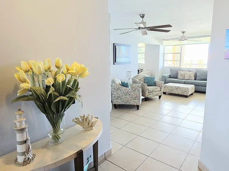 215 Calle Andalucia Apt Aguadilla Pr — Photo 3