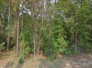 12230 S Daffodil Point, Floral City, FL 34436