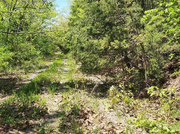 L 64 B Kayenta Cir #1, Cherokee Village, AR 72529