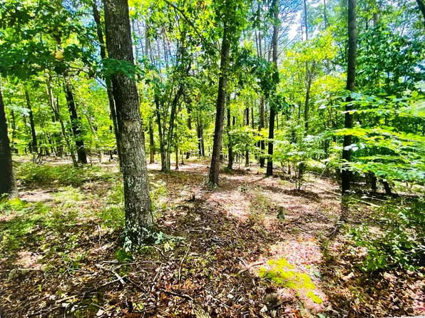 LOT 97 Greenberry Dr, Pittsville, VA 24139