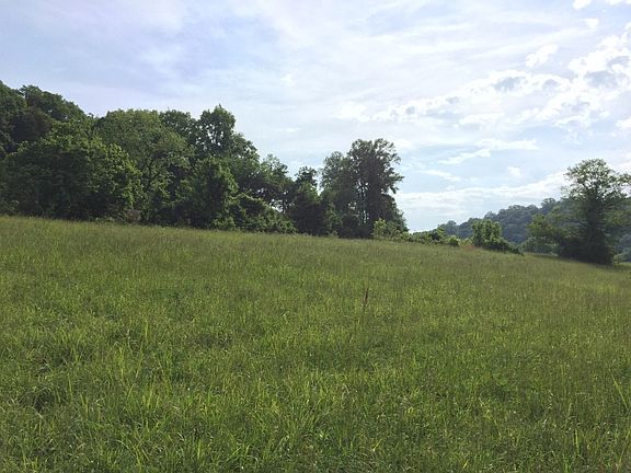 2+ acre field on the Clinch River