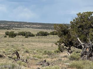 N6581 N 6581st #765, Saint Johns, AZ 85936