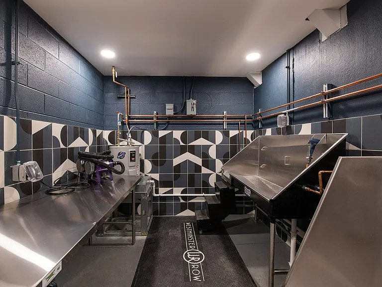 Westerminster Row Pet Spa (2)