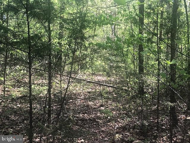 1st image of 5805 Dogwood Tree Ln