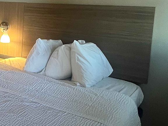 Studio Suite - 1 Queen Bed