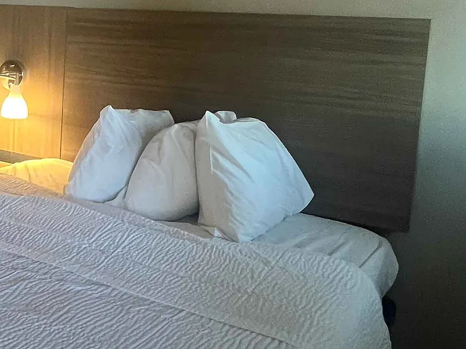 Studio Suite - 1 Queen Bed