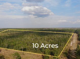 850 Wild Cur Rd, Pierson, FL 32180