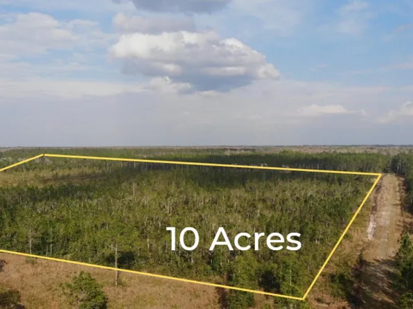 850 Wild Cur Rd, Pierson, FL 32180