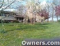 spring weeping cherry