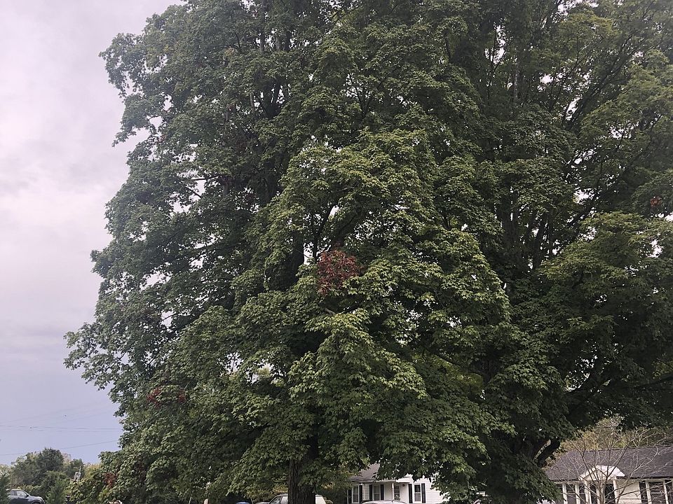 2nd image of 315 Mercury Dr