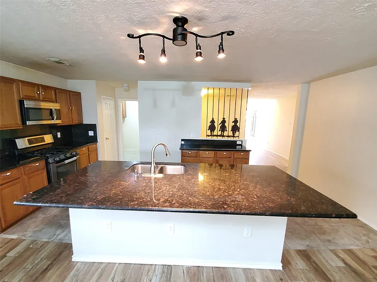 18203 Afton Hollow Ln — Photo 8