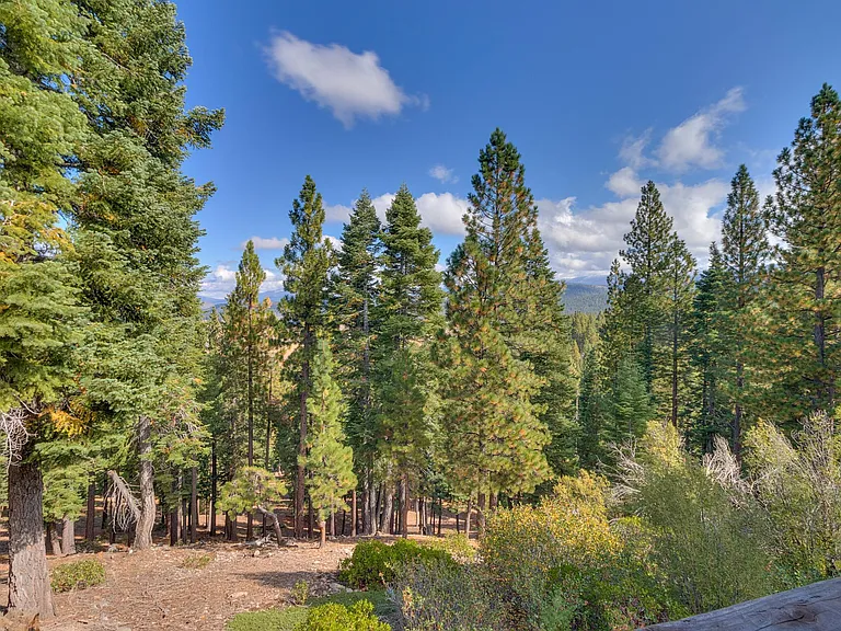 Quiet with views of Martis Valley.