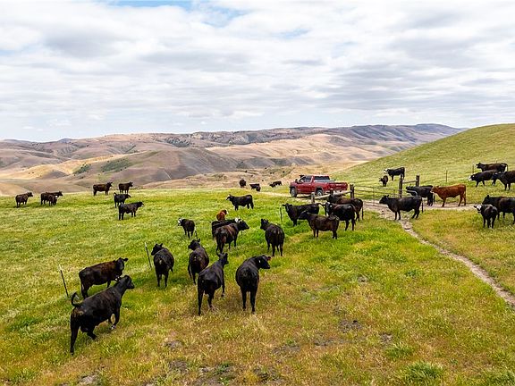 4th image of 8050 Bitterwater Rd