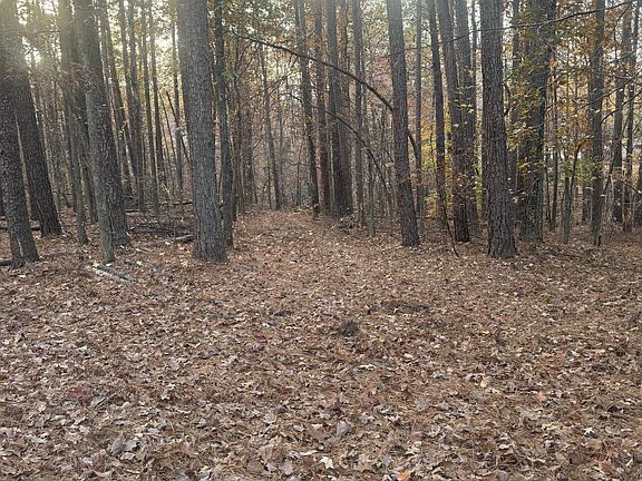 3rd image of 10808 Laken Woods Dr