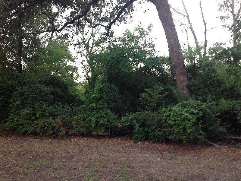 2nd image of PR 5825 Lot 3
