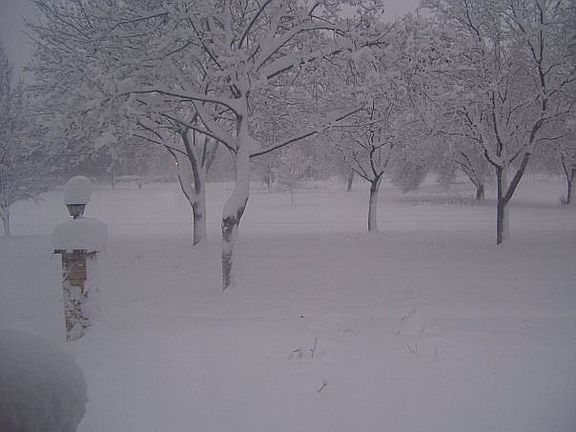 view from front porch