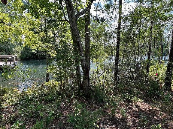 3rd image of LOT 1 Marsh Lndg S Lot 1