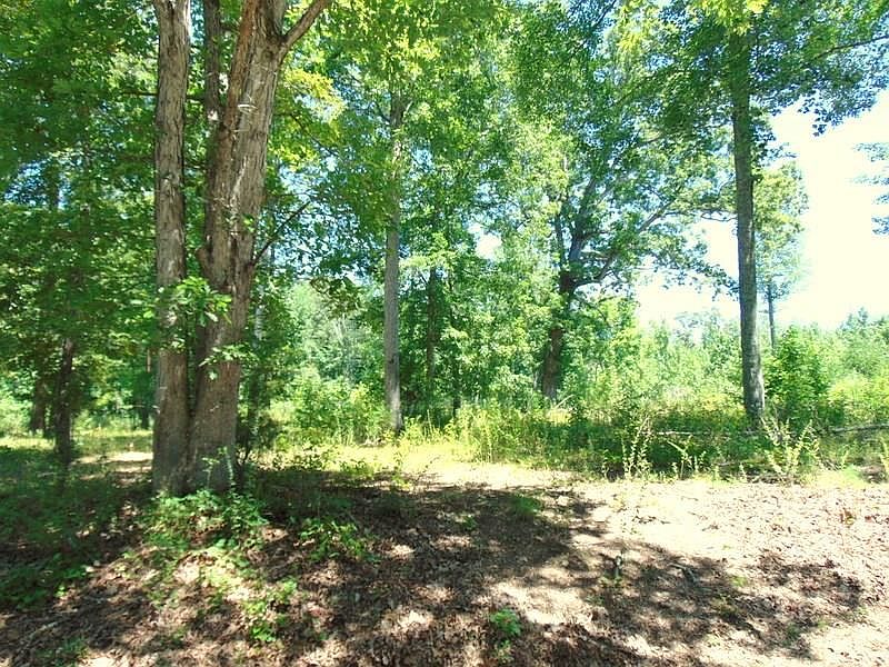 1st image of 113 Loch Haven Dr