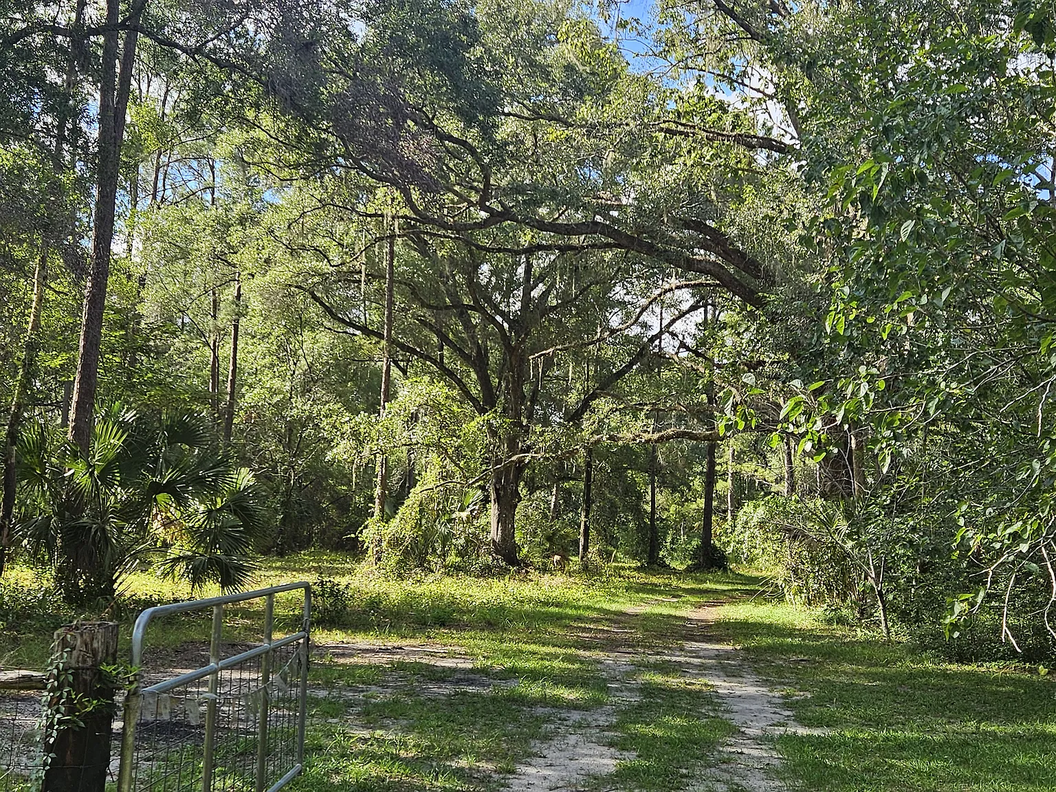 NE 9th Ave, Micanopy — Photo 2