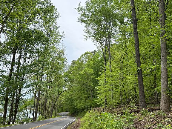 2nd image of Lots A&b Alder Springs Rd