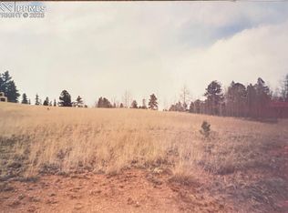 785 Obsidian Dr, Florissant, CO 80816