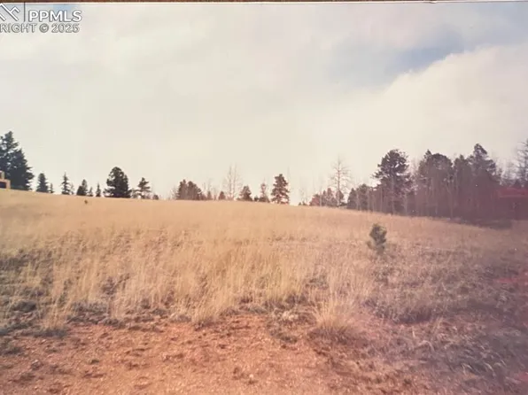 785 Obsidian Dr, Florissant, CO 80816