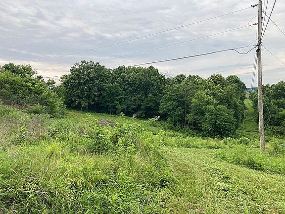 5th image of Wooldridge Ln
