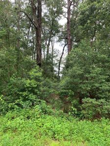 0 Thornhill Dr LOT 6, Sorrento, FL, 32776