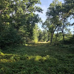 S Outaway Dr, Newaygo, MI, 49337