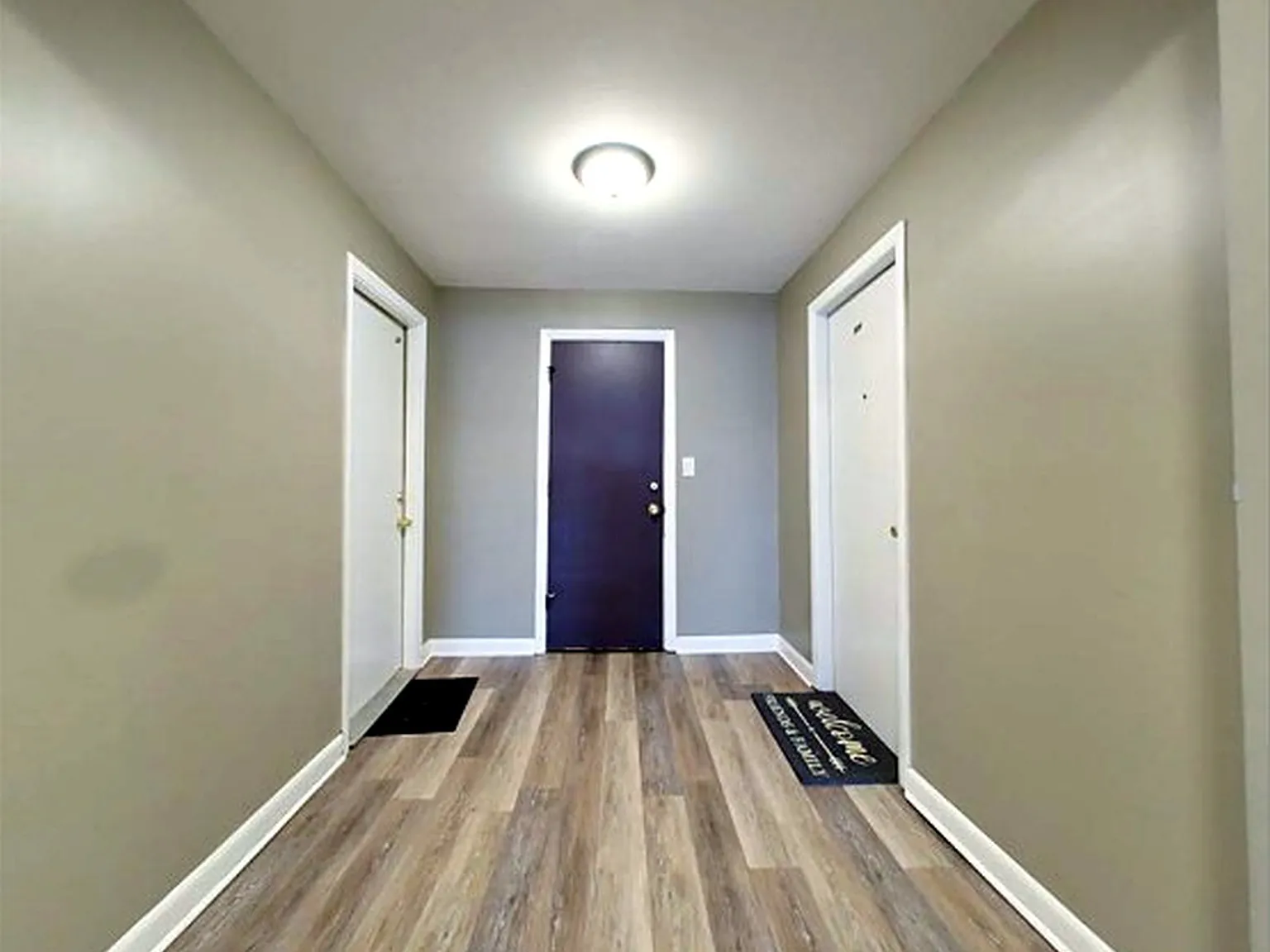 2 bed, 1.0 bath, 1000 sqft, $1,695 — Photo 3