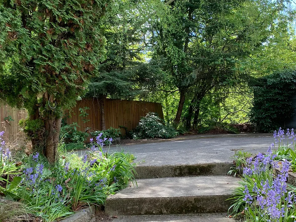 Private wooded area