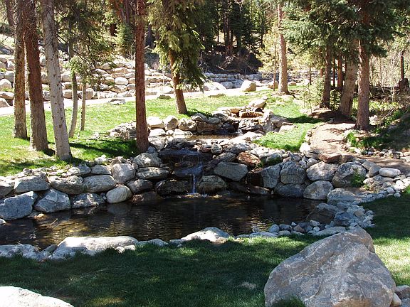 neighborhood pond