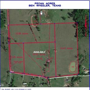 4702 Ben, Ben Wheeler, TX, 75754