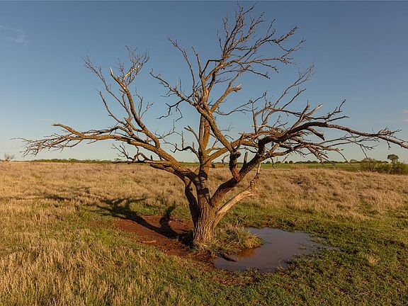 5th image of 0 E 1830th Rd