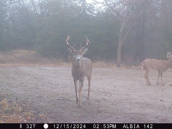 4th image of 0 Peach Ave