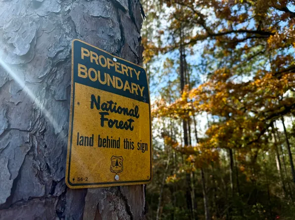 0 Progress Rd, Beaumont, MS 39423