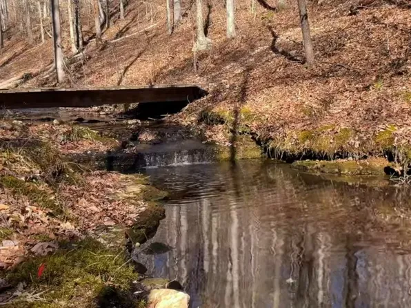 0 Barnhill Rd, Primm Springs, TN 38476