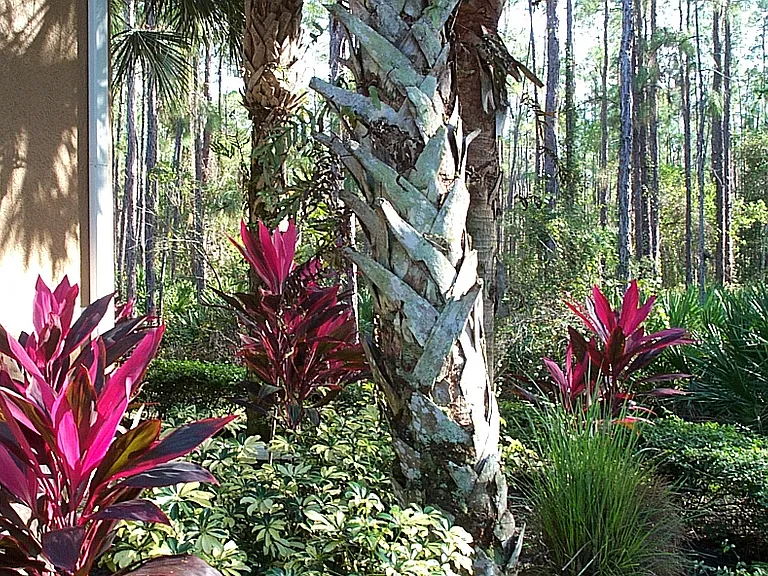 1835 Florida Club Cir #3201 — Photo 21
