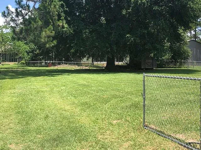 194 Autumn Leaf Dr — Photo 4