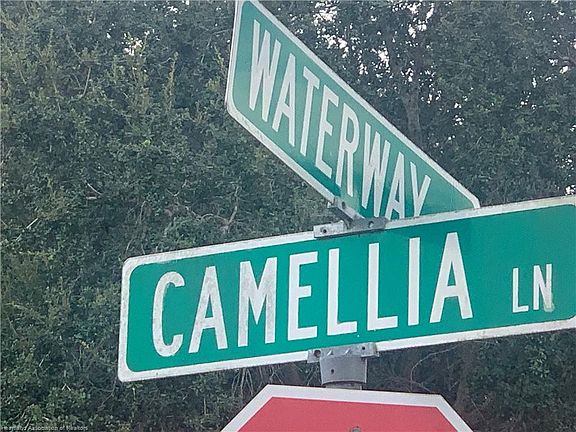 2nd image of 3055 Camellia Ln