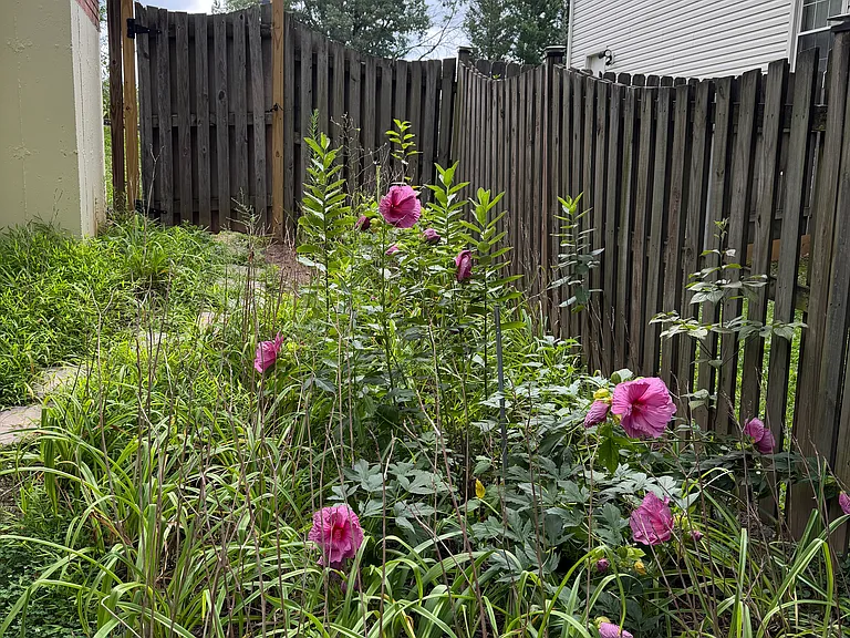 2604 Quincy Adams Dr — Photo 2