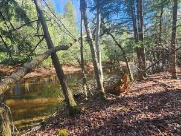 Nhn Metzke Rd, Alpena, MI 49707