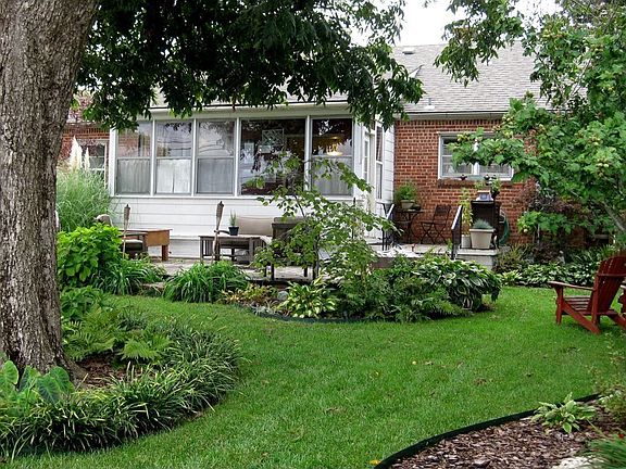 Back Yard in Early Fall