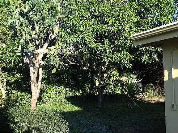 3 bed, 1334 sqft, $3,200 — Photo 3